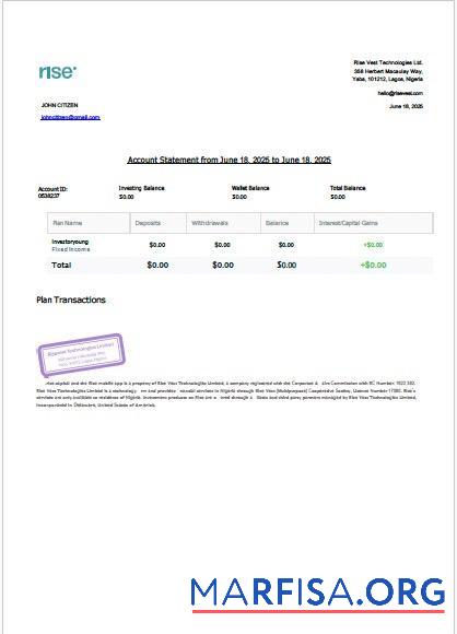 Downloadable Nigeria Rise Vest account statement word sample